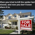 the spider monster