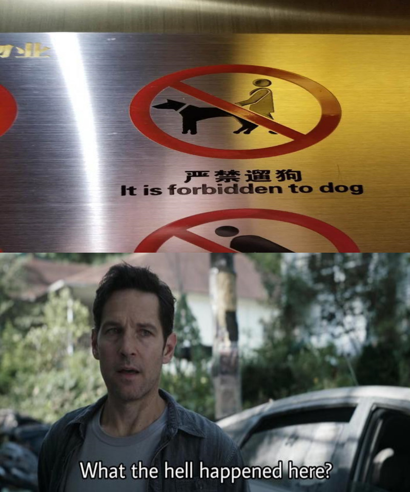 Il est interdit de chien - meme
