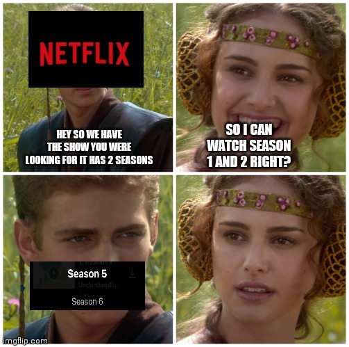 Those seasons are not available on Netflix - meme