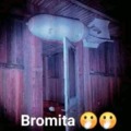 bromita 