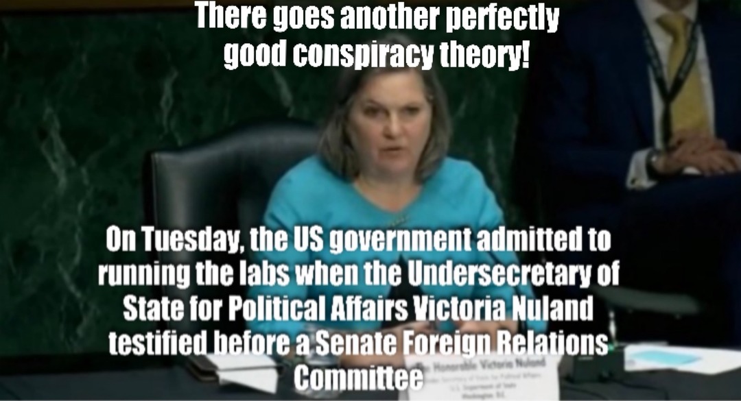 These days you can hardly get your tinfoil hat on before what was a wild conspiracy theory turns out to be true!!! - meme