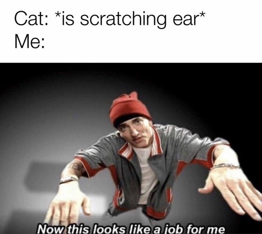 Scratches ear politely. - meme