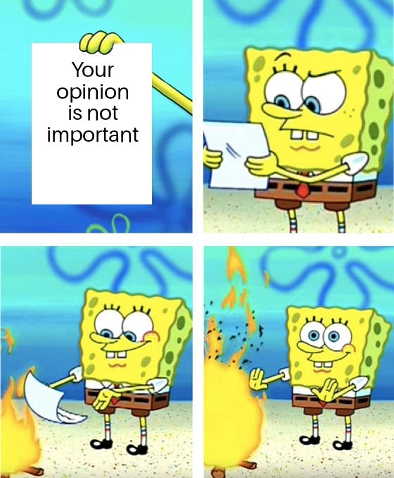 Your opinion is not important - meme