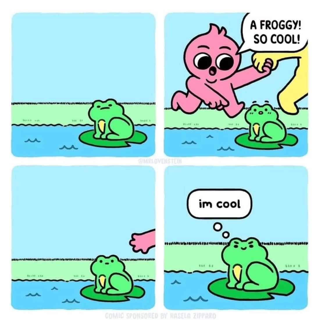 cool frog - meme