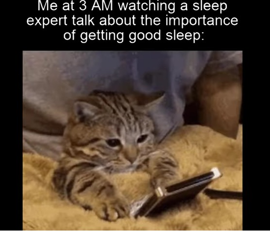 "Maybe I'll try this method of good sleep some other time"XD - meme