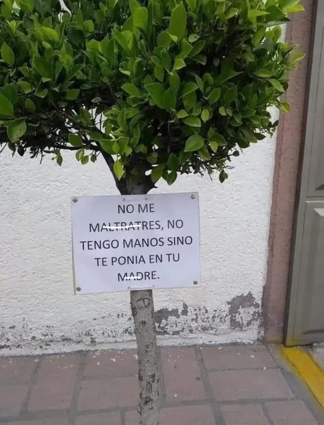 Arbol con mal genio - meme