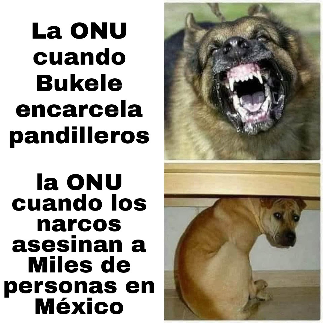 Gracias ONU por : - meme