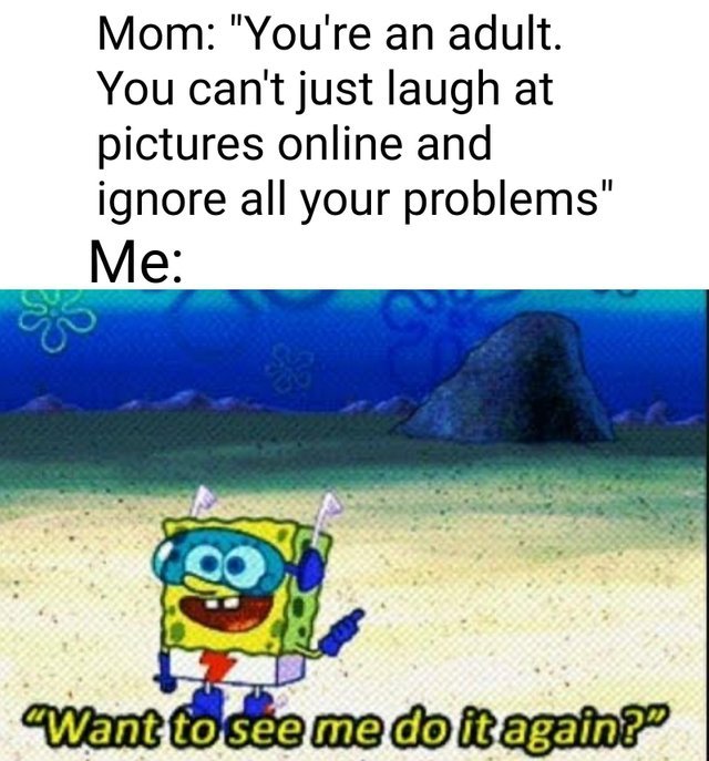 You are an adult. You can't just laugh at pictures online and ignore all your problems - meme