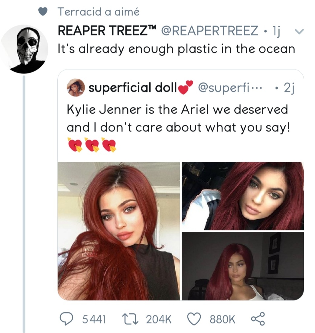 "Kylie Jenner est la Ariel (petite sirène Disney) que nous méritons, et on s'en fiche de votre avis !"  "il y a assez de plastique dans l'océan" - meme