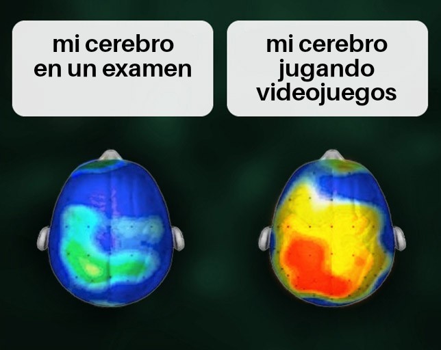 Cerebro - meme