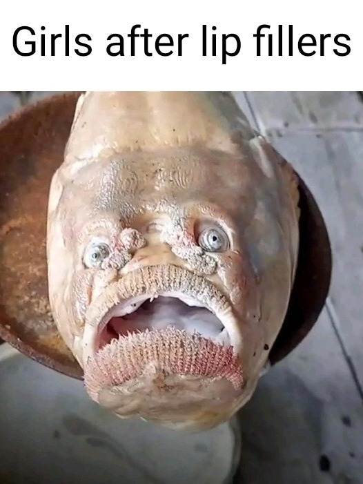 Botox bitches be blowing the fish - meme