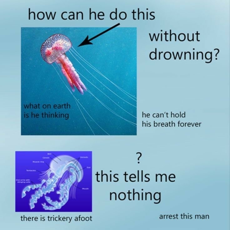 top ten questions science can’t answer - meme
