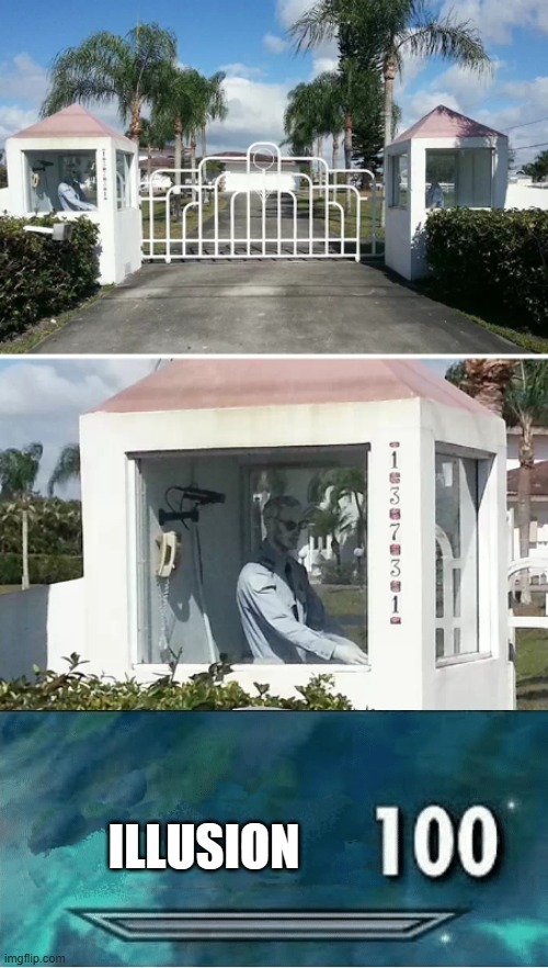 illusion 100 - meme