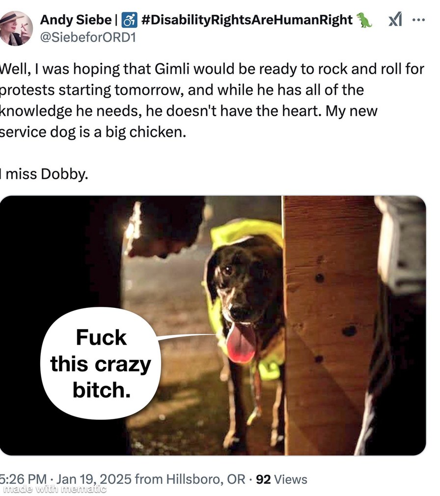 antifag tries and fails to bring a based aryan dog to protest and fails - meme