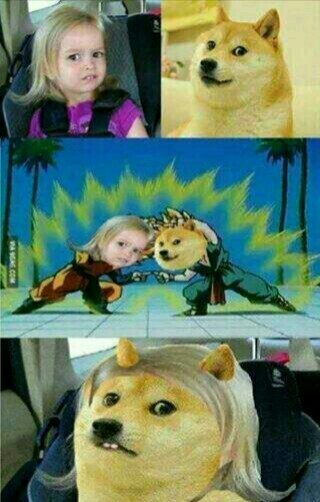 This is the doge - meme