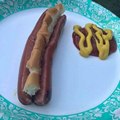 Nothing like a tasty hot dog