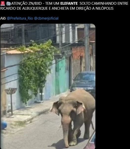 Tudo normal no Hell de Janeiro - meme