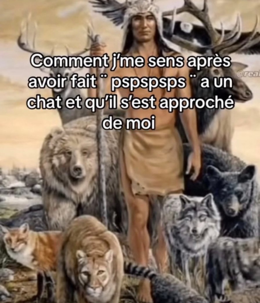 Quand tu invoques un chat - meme