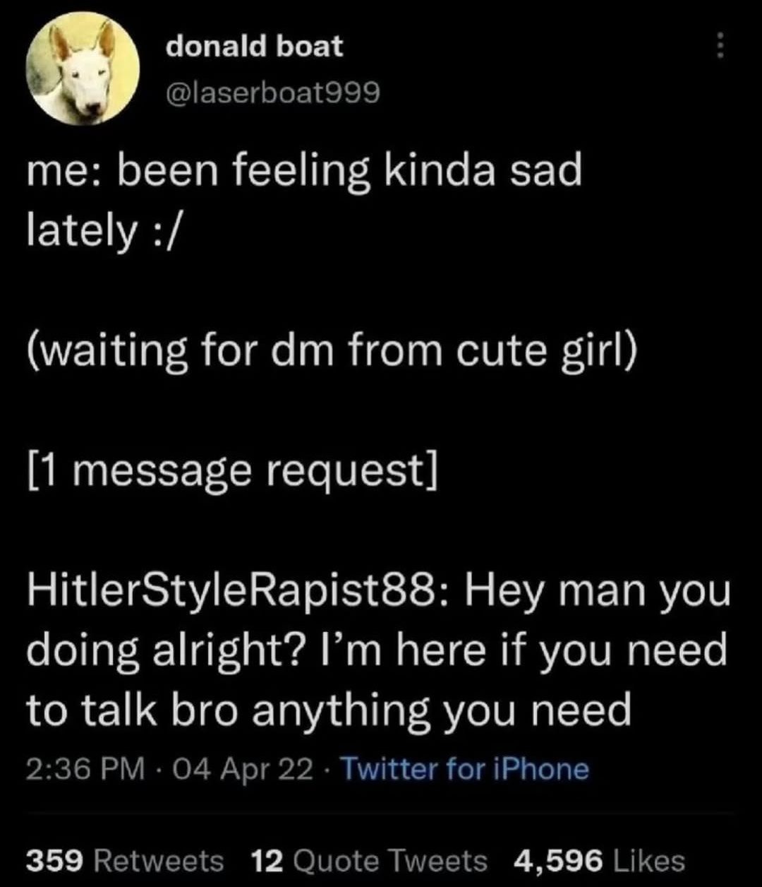dongs in a message - meme
