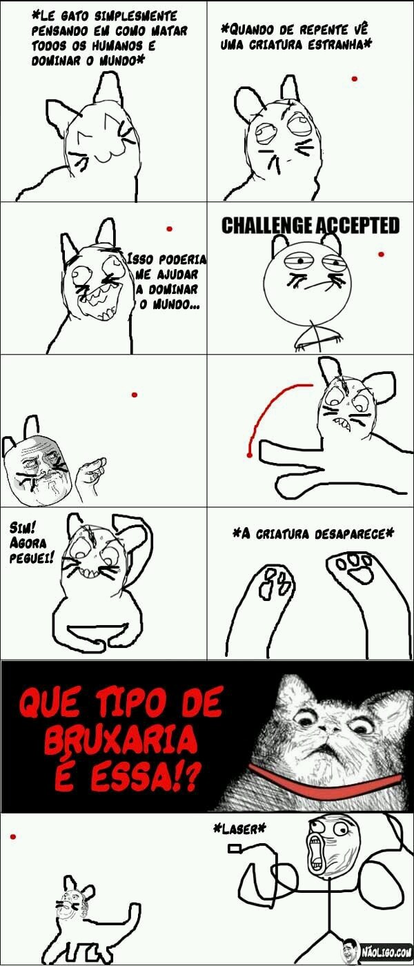 Le gato - Meme by Nyll :) Memedroid