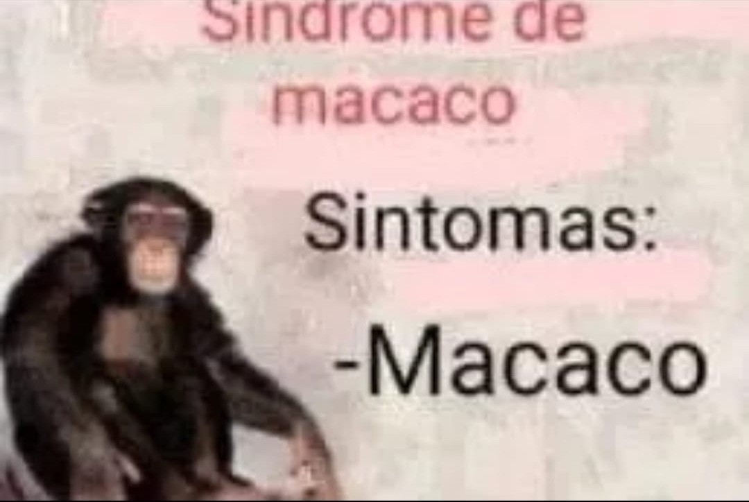 Macaco - meme