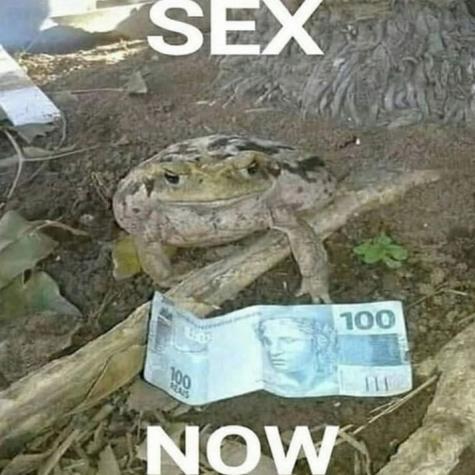 Sex now - meme