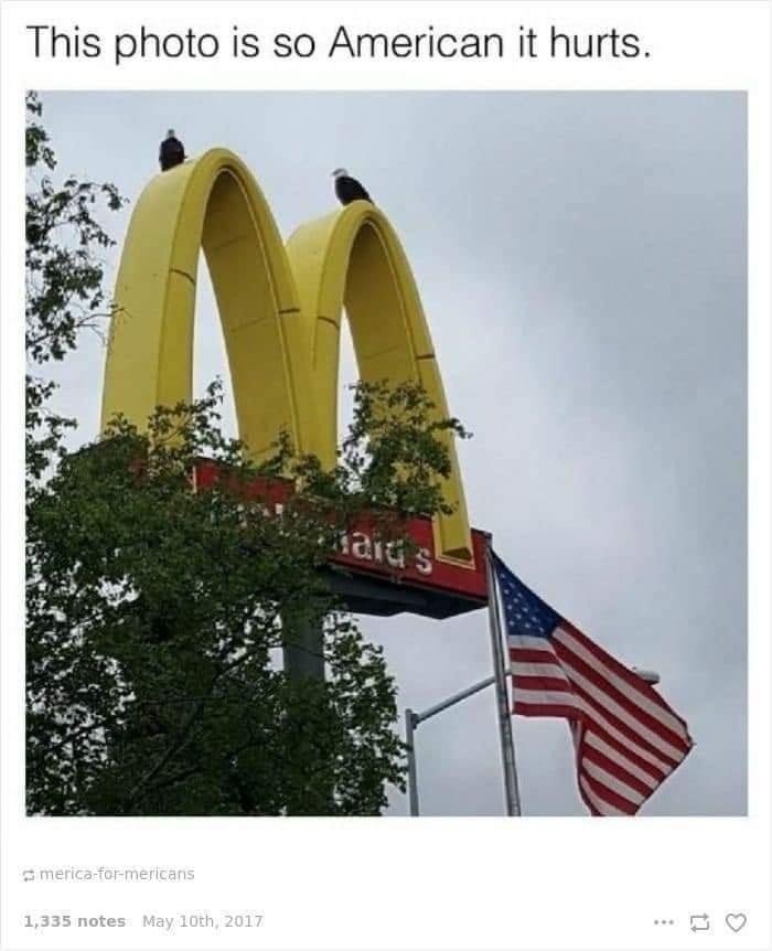 Eagles need guns though - meme