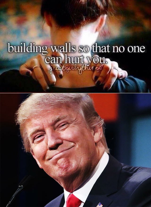 Walls - meme