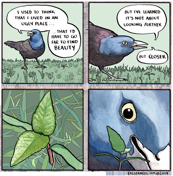 Aw Bird_Squeezer - meme