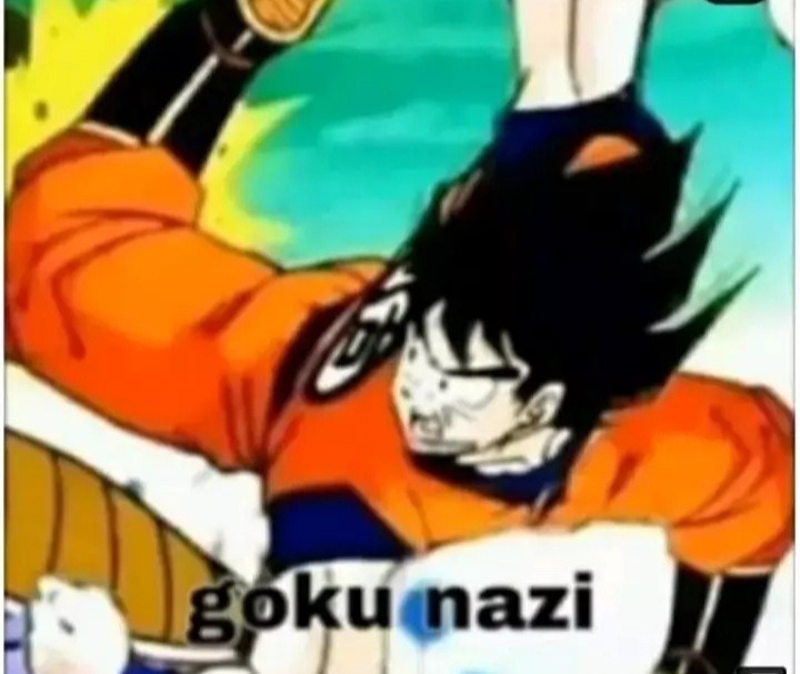 Goku nasi - meme