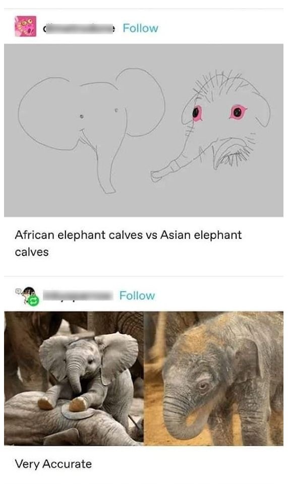 elephant drawing meme