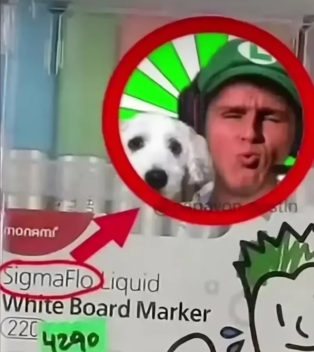Sigmaflo - meme