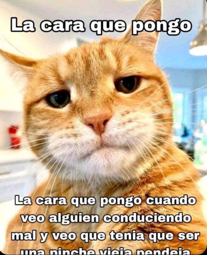 hija de la chingada - meme