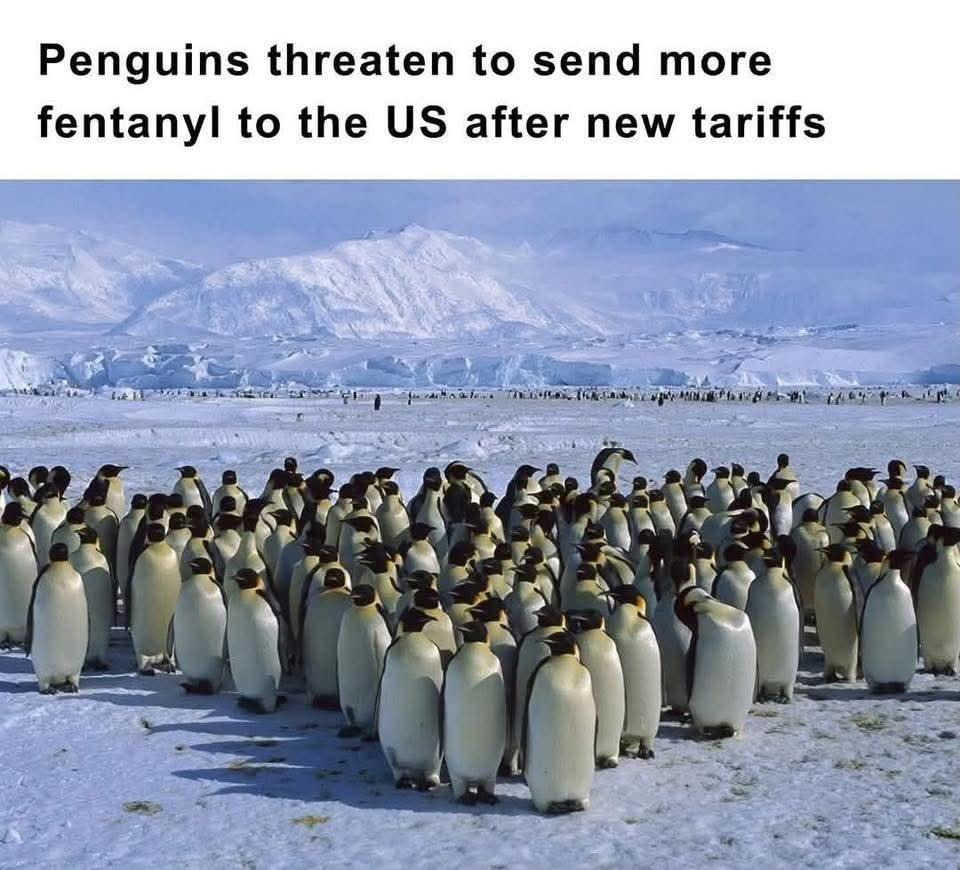 67ef9a0069777.jpeg