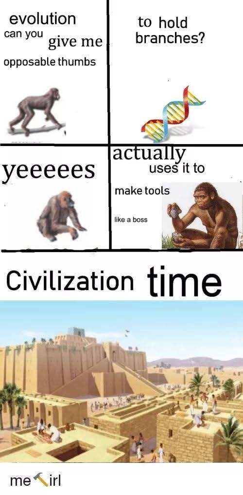 Evolution gave me thumbs and I went full civilization mode - meme