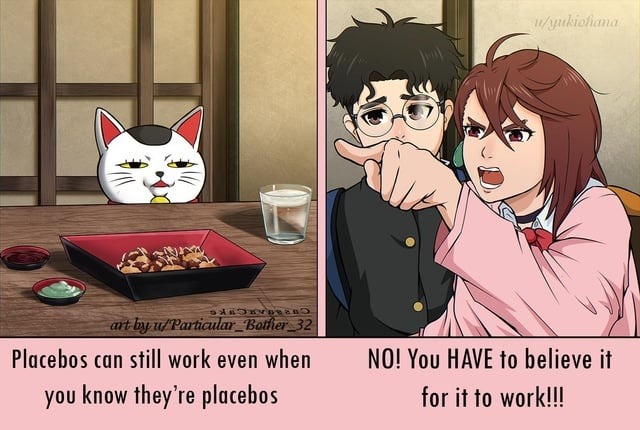 Placebos work even if you know they fake... trust the vibes - meme