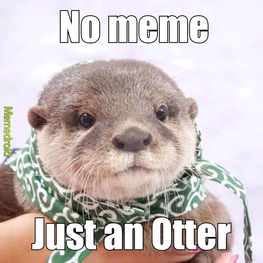 Join your local otters - meme