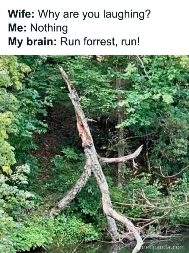Title - meme