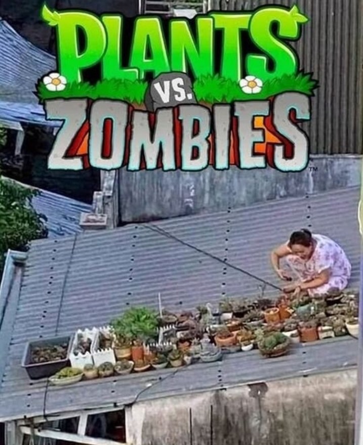 PANTS ZOMBIES VS: el crossover que nadie pidió - meme