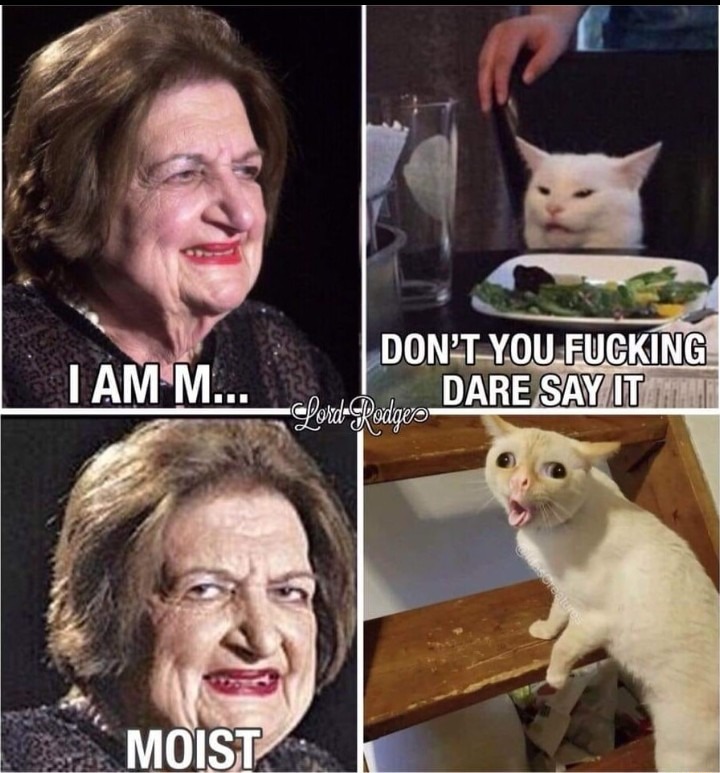 Moist - Meme by TBIGUY :) Memedroid