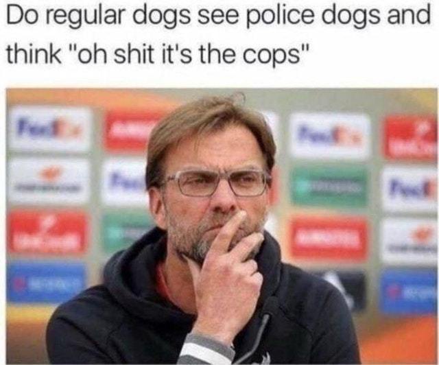 Let's think about this: regular dogs vs police dogs - meme