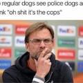 Let's think about this: regular dogs vs police dogs