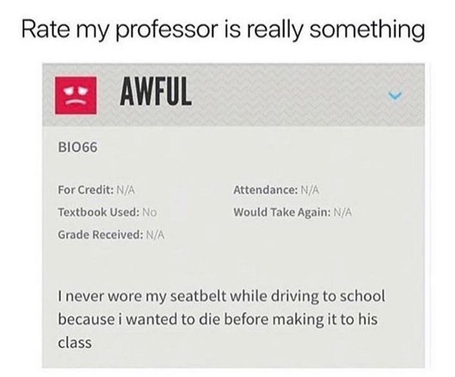 Rate my professor is really something - meme