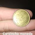 Carpincho moneda