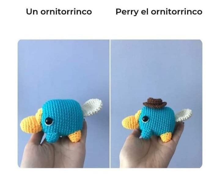 Y Perry? - meme