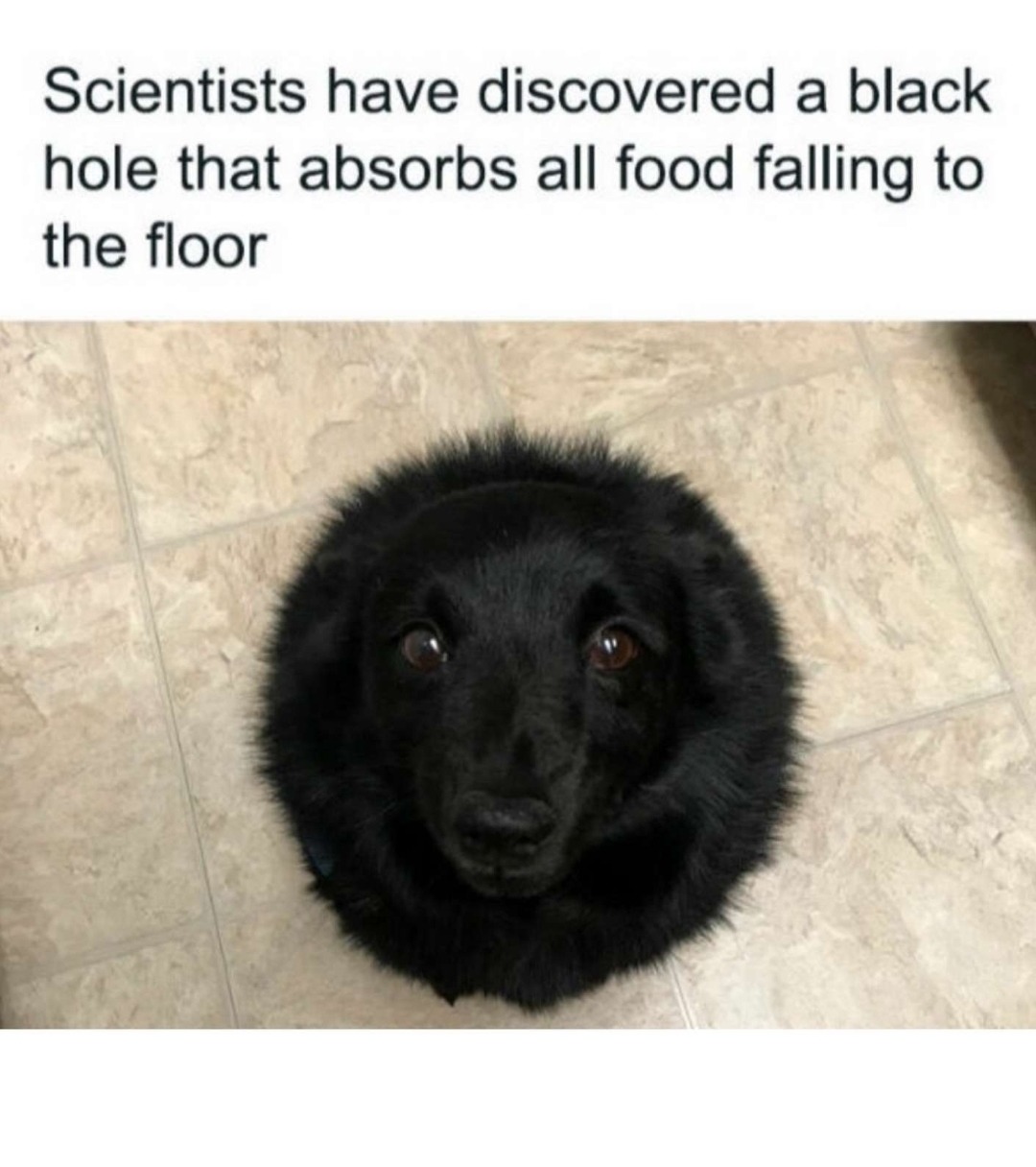 Black holes - meme