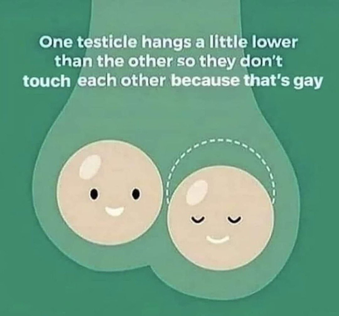 Testicle education - meme