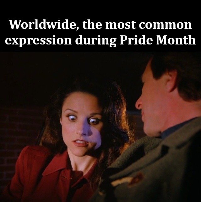 How I'd look at every Pride Parade if I were to go - meme