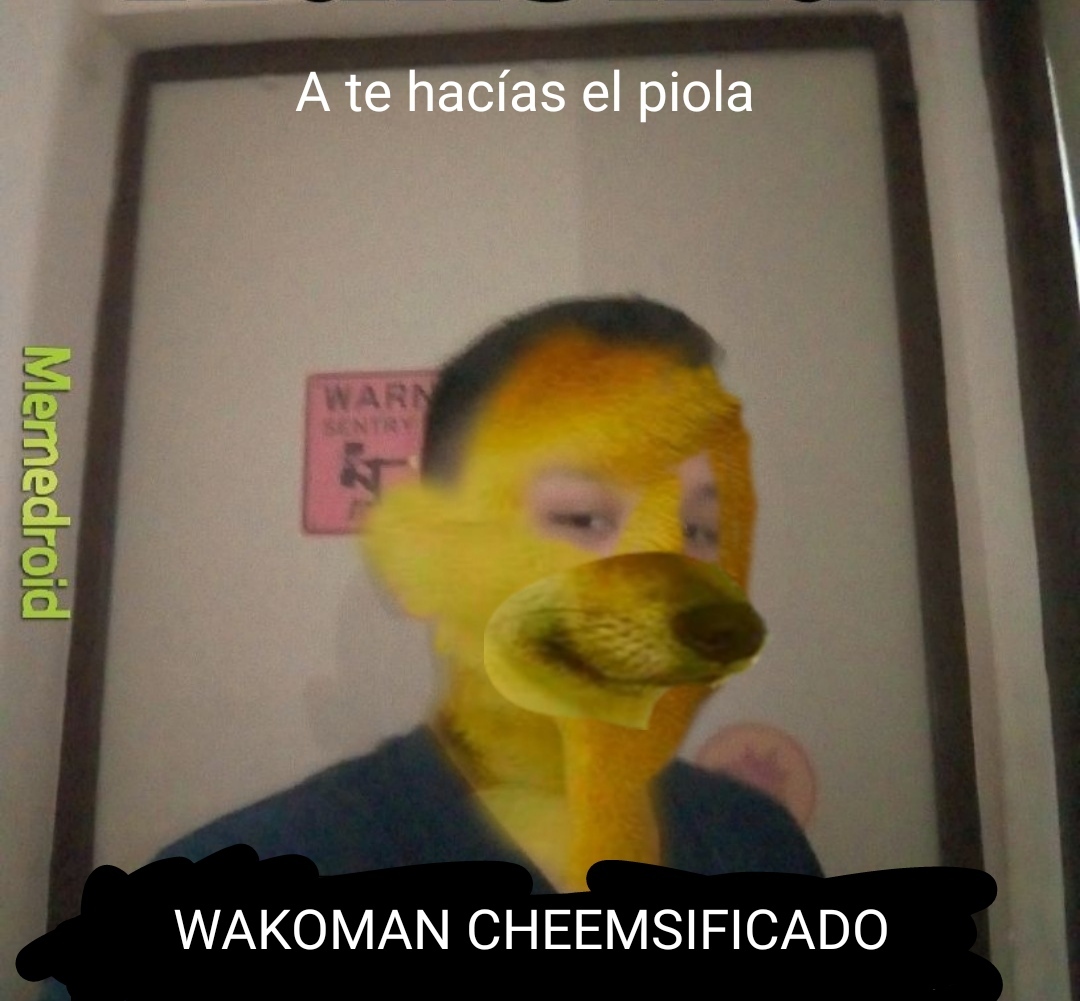 Wakoman CHEEMSIFICADO - meme