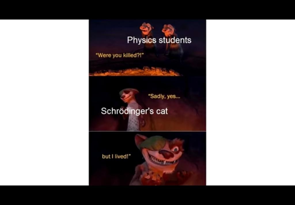 Schrödinger's cat - meme